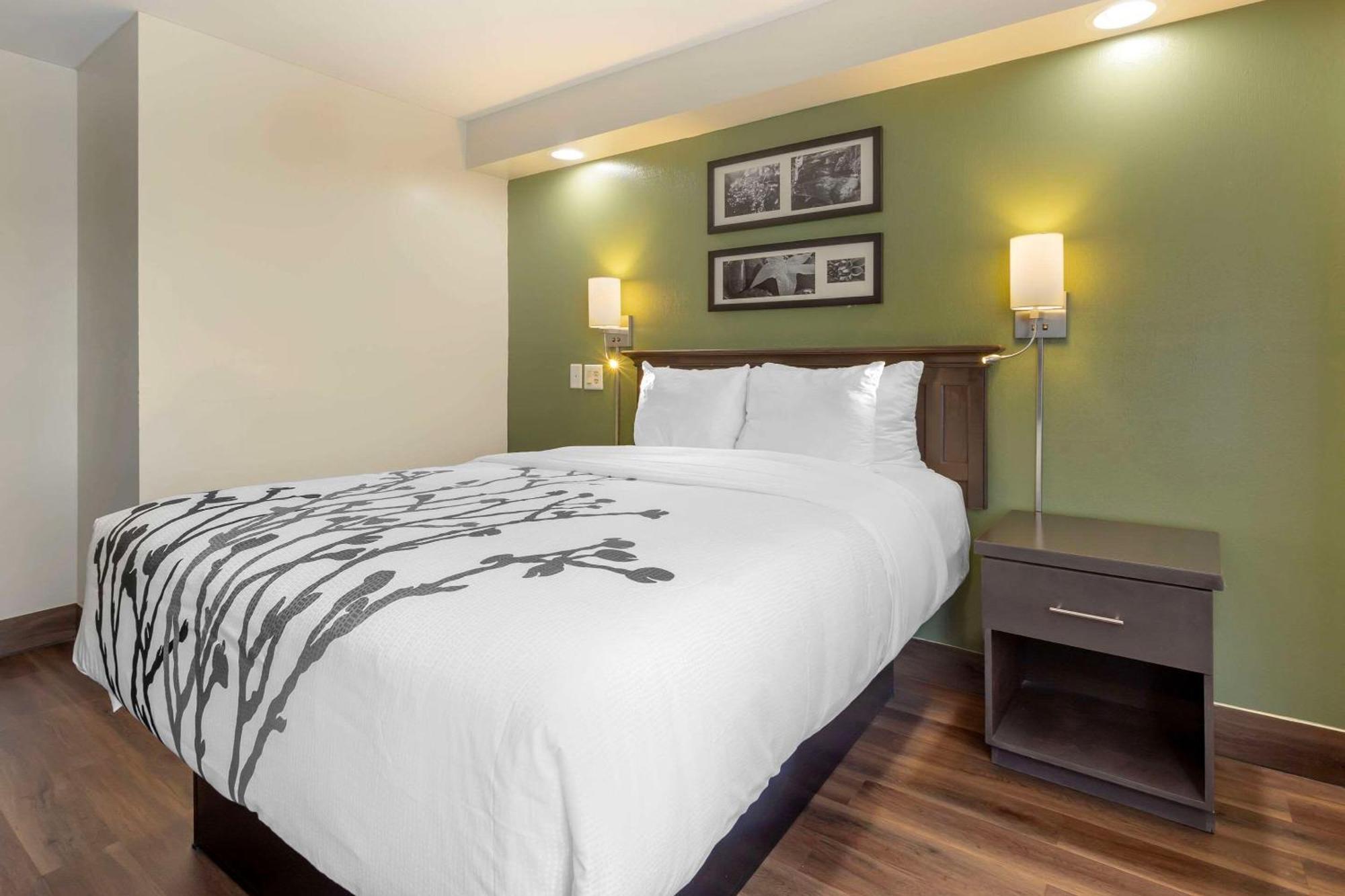 Sleep Inn Sumter Eksteriør billede